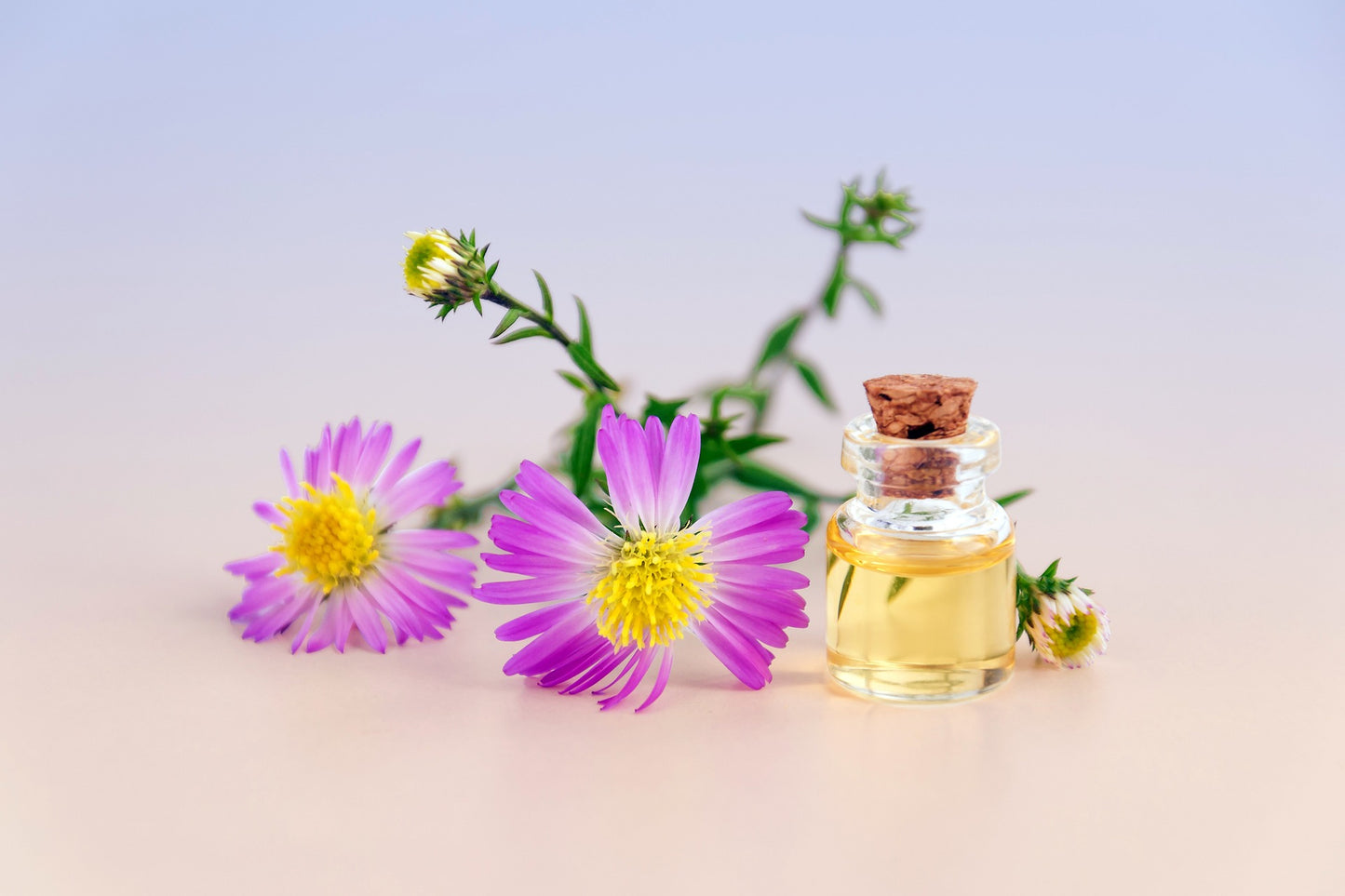 Jodi Metcalf's Exclusive Cuticle Nail Oil